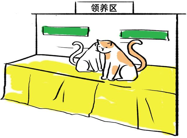 ͶƱ룡
