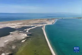 春临青海湖图片