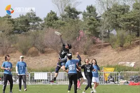 中国飞盘联赛北京站开赛，预选赛制提升竞技水平图片