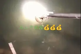 价格猛涨！杭州有人到处找它：一晚赚2000！“童年阴影”这么值钱？图片