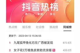 冲上热搜！女子为救助被剥皮的流浪猫，花2万给猫植鱼皮图片