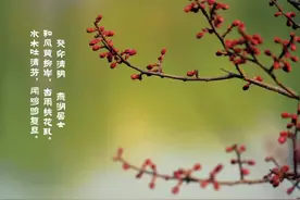 【红尘小笺】癸卯清明图片