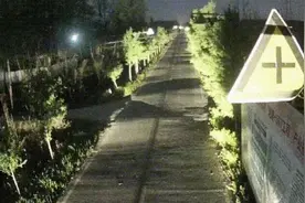 一匹脱缰赛马，惊动了三个派出所……图片