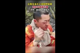 云南玉溪大火烧毁野蜂窝，消防员被蛰伤眼图片