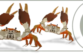 【检视界】舌尖上的危险图片