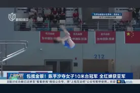 包揽金银！陈芋汐夺女子10米台冠军 全红婵获亚军图片
