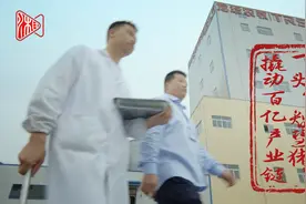 拥抱民营经济发展的春天 | 唐人神：一头“智慧猪”撬动百亿产业链图片