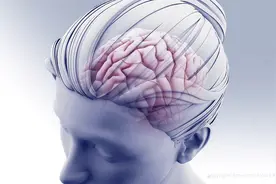 人类记忆或只在几秒钟内可靠图片