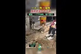 一人一狗一猫咪，围观老鼠努力打洞，网友：一个干活的，四个监工图片