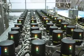 光明乳业登上央视《新闻联播》，数字化转型立标杆，真抓实干推动高质量发展图片