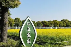 人间四月芳菲尽，来西渡南渡村观赏百亩花田吧！图片