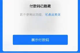 支付宝上线付款码隐私保护功能图片