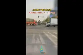 4米2货车干着9米6的活，网友：只要胆子大，C1开半挂图片