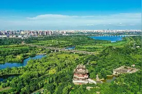 园林绿化，北京这样增绿添彩减絮图片