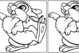 智慧乐园 | IQ闯关（0418）图片