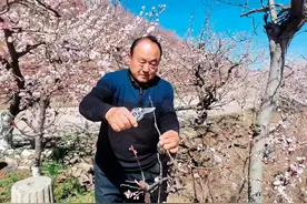 瞭望 | 给我一座荒山，还你一片绿洲图片