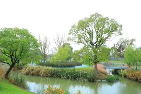 闵行科创公园18日开园，有山有水、有大草坪有儿童乐园，还有1850米智慧跑道图片