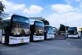 五一出游有多火爆？华东地区旅游大巴“一车难求”，订车至少提前15天图片