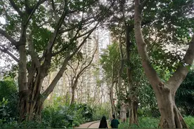 尊重民意、保护生态 海口金牛岭公园里这个项目不建了图片