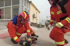 果然视频|小狗被捕鼠器夹伤腿，消防员迅速到场施救图片