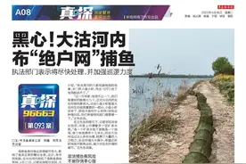 真·探093案丨 黑心!大沽河内布“绝户网”捕鱼！执法部门表示将尽快处理,并加强巡逻力度图片