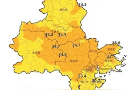 开元寺樱花树结红果 果实不是樱桃无食用价值图片