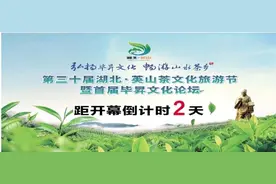 第三十届湖北·英山茶文化旅游节即将开启图片
