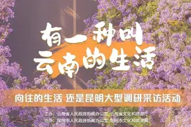 有一种叫云南的生活｜体验南强夜市，感受春城独有魅力图片