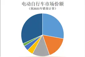 雅迪爱玛等去年量价齐增，小牛业绩独降！海外市场成新增长点图片