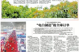 出口前瞻：一颗茂名荔枝如何走出国门?图片