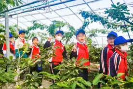 高新区（新市区）：春日里 农耕研学正当时图片