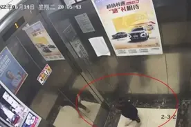 涉案保姆认罪悔罪！“杭州女童电梯坠亡案”一审结束，女童父亲：保姆在法庭上哭的声音比我还大图片