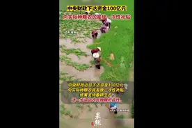 中央财政下达资金100亿元，向实际种粮农民发放一次性补贴图片