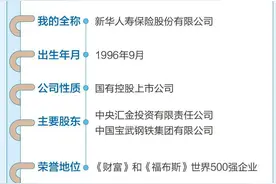 一图速览！新华保险2023版公司简介图片
