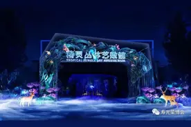 绿色盛会，多彩靓点图片