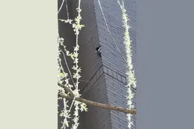 北京深夜，一小区总传来“诡异”噪音，每天都准时！图片