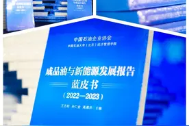 2023年能源低碳转型前景如何？4部蓝皮书为您揭晓！图片