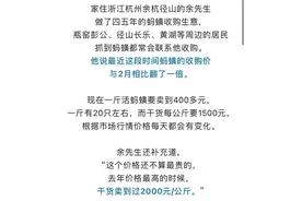 价格猛涨！一晚赚2000元，“童年阴影”这么值钱？图片