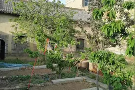 熄灯号｜遥祭我的外婆图片