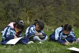 经济观察丨自然教育10年间：课程更加专业了，生态财富惠民了图片
