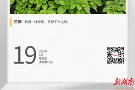 湖湘自然历丨猜猜我是谁⑲堂堂“中国草”图片