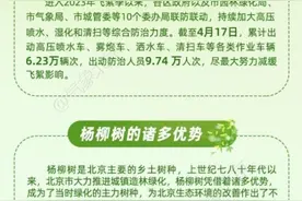 北京杨柳飞絮第二个高发期将持续至5月7日图片