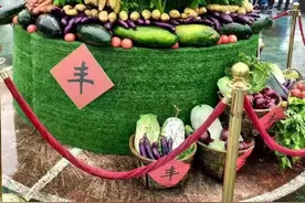 平凡与伟大|三哥的卖菜人生图片