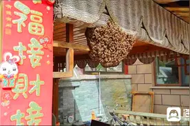 居民家中“蜂”狂筑巢 诸城消防迅速处置图片