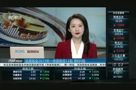 社保基金2023年一季度新进11股 增持9股视频封面