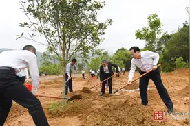 福州这里美“出圈”，市委书记都去了！图片