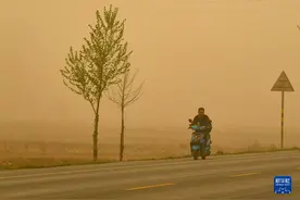宁夏多地出现沙尘暴天气图片
