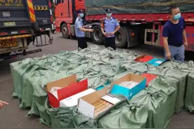 深化协作聚合力 打假破网提质效图片