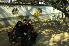 散文｜漱芳园画春花语图片