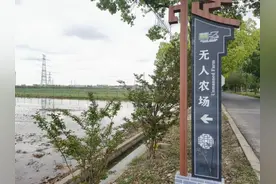 让“无人农场”更智能，上海这片农田里，拖拉机能自动规划耕地路径图片